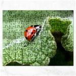 Nature Jigsaw Puzzle (Rectangular)