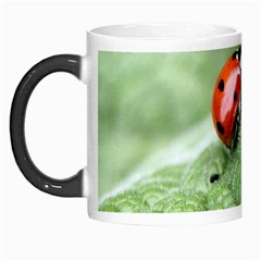 Nature Morph Mug from ArtsNow.com Left