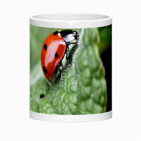 Nature Morph Mug from ArtsNow.com Center