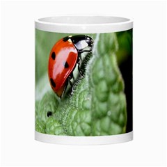 Nature Morph Mug from ArtsNow.com Center