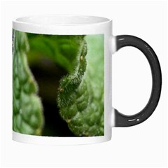 Nature Morph Mug from ArtsNow.com Right