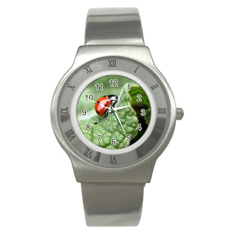 Nature Stainless Steel Watch from ArtsNow.com Front