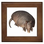 Armadillo Framed Tile