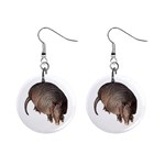 Armadillo 1  Button Earrings