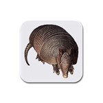 Armadillo Rubber Square Coaster (4 pack)