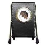 Armadillo Pen Holder Desk Clock