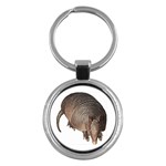 Armadillo Key Chain (Round)