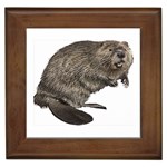 Beaver Framed Tile