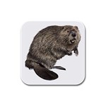 Beaver Rubber Square Coaster (4 pack)