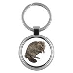 Beaver Key Chain (Round)