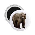 Bear 2.25  Magnet