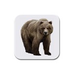 Bear Rubber Square Coaster (4 pack)