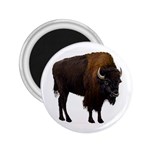 Buffalo 2.25  Magnet