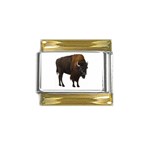 Buffalo Gold Trim Italian Charm (9mm)