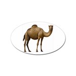 Camel Sticker (Oval)