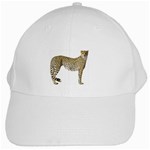 Cheetah White Cap