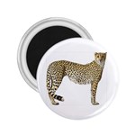 Cheetah 2.25  Magnet