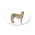 Cheetah Sticker (Oval)