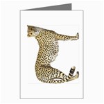 Cheetah Greeting Cards (Pkg of 8)