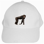 Chimpanzee White Cap