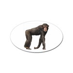 Chimpanzee Sticker (Oval)