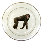 Chimpanzee Porcelain Plate