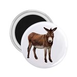 Donkey 2.25  Magnet