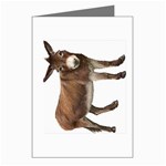 Donkey Greeting Cards (Pkg of 8)