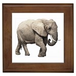 Elephant Framed Tile