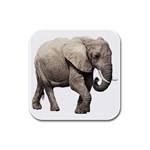 Elephant Rubber Square Coaster (4 pack)