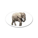 Elephant Sticker (Oval)