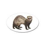 Ferret Sticker (Oval)