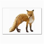 Fox Postcards 5  x 7  (Pkg of 10)