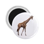 Giraffe 2.25  Magnet