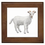 Goat Framed Tile