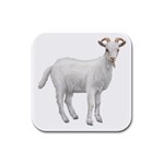 Goat Rubber Square Coaster (4 pack)