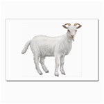 Goat Postcards 5  x 7  (Pkg of 10)