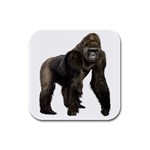 Gorilla Rubber Square Coaster (4 pack)