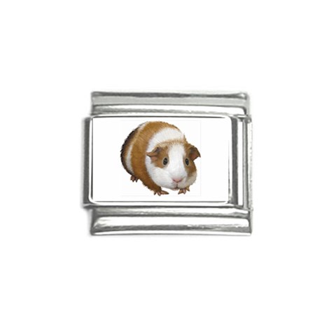 Guinea Pig Italian Charm (9mm) from ArtsNow.com Front