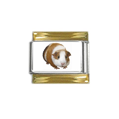 Guinea Pig Gold Trim Italian Charm (9mm) from ArtsNow.com Front