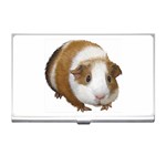 Guinea Pig Business Card Holder