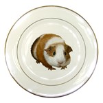 Guinea Pig Porcelain Plate