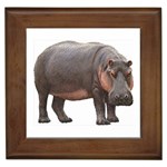 Hippopotamus Framed Tile