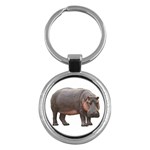 Hippopotamus Key Chain (Round)