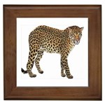 Leopard Framed Tile