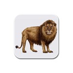 Lion Rubber Square Coaster (4 pack)