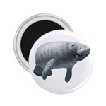 Manatee 2.25  Magnet