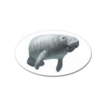 Manatee Sticker (Oval)