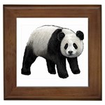 Panda Framed Tile