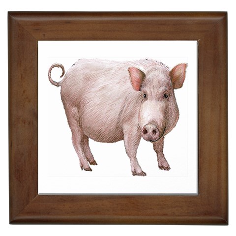 Pig Framed Tile from ArtsNow.com Front